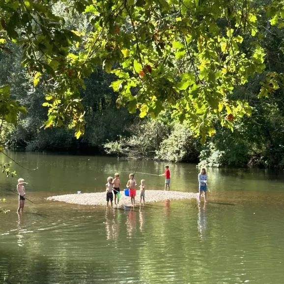 🎣🦎
À la recherche des petites bêtes qui animent la rivière 
In search of the little creatures that live in the river 
#campingvaldebonnal #valdebonnal #riversidecamping #valleedelognon #franchecomte #naturecamping #kidscamping