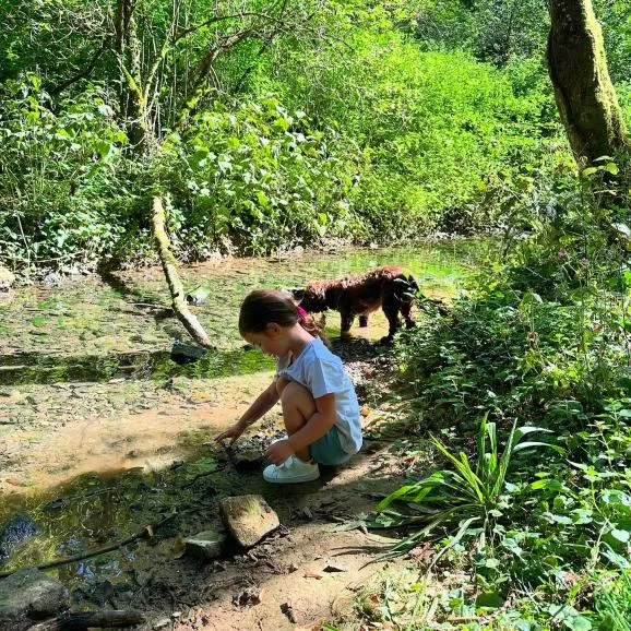 👧🏻🐶
Un moment de complicité @campingvaldebonnal 
A moment of complicity @campingvaldebonnal 
#valdebonnal #campingvaldebonnal #franchecomte #kidscamping #riversidecamping #naturelovers #doglovers